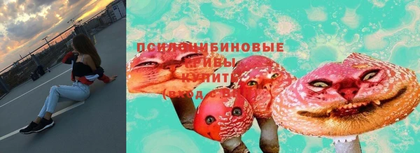 крисы Красноперекопск